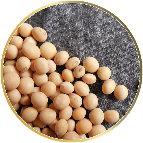 soy