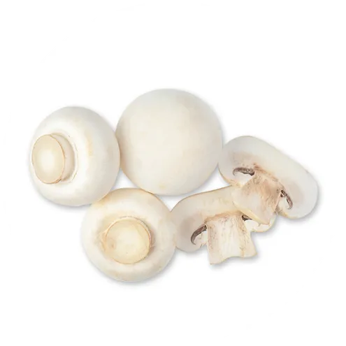 vitdmushroom