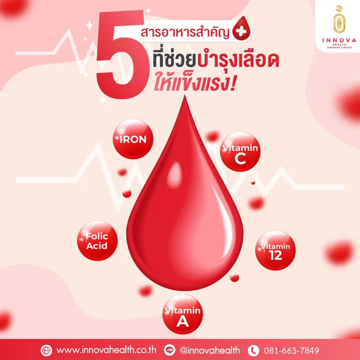 5สารอาหารที่ช่วยบำรุงเลือดให้แข็งแรง