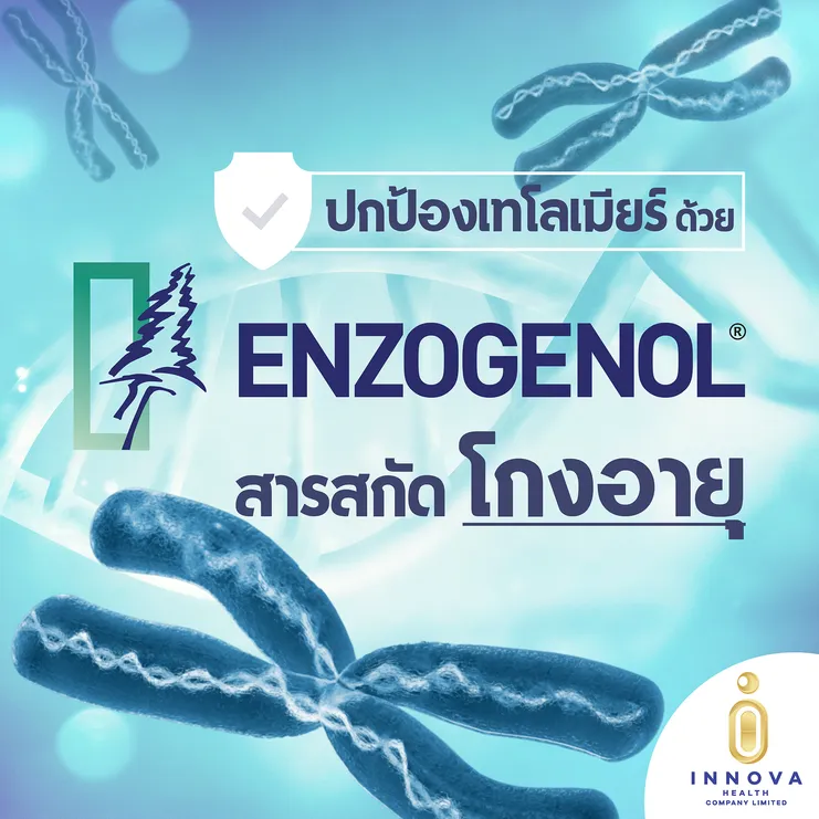 ปกป้องเทโลเมียร์ด้วยEnzogenol®สารสกัดโกงอายุ