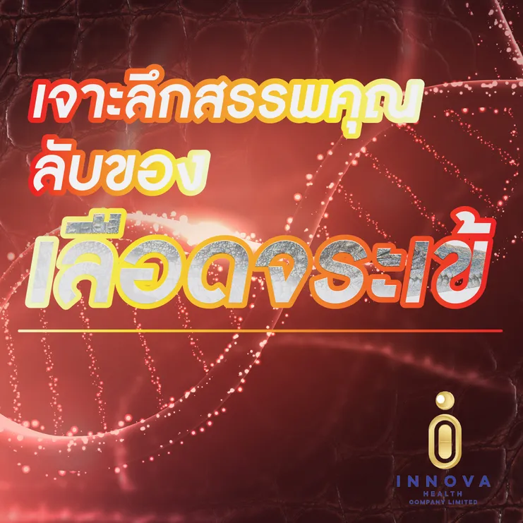 เจาะลึกสรรพคุณลับของเลือดจระเข้01-100