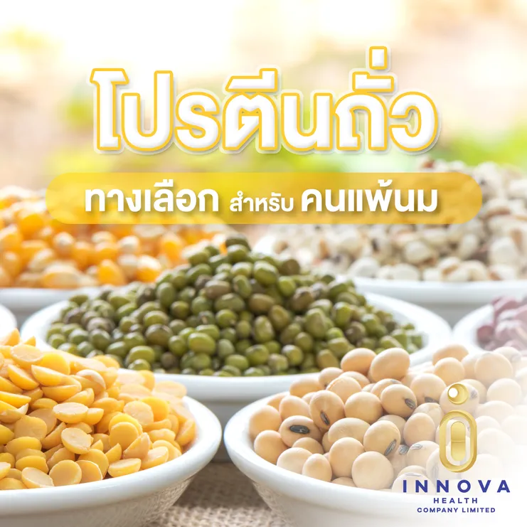 โปรตีนถั่วทางเลือกสำหรับคนแพ้นม