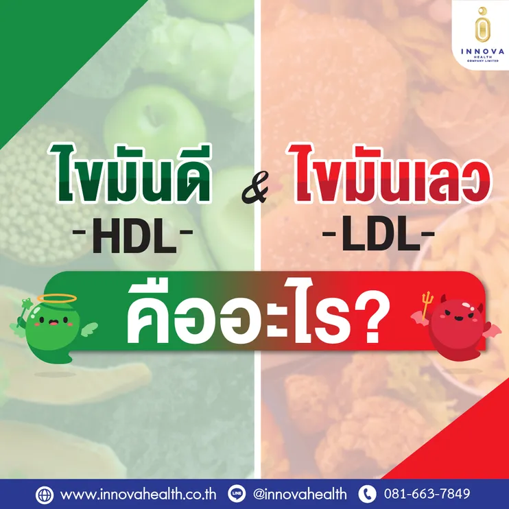 01ไขมันดีไขมันเลวคืออะไร-1000