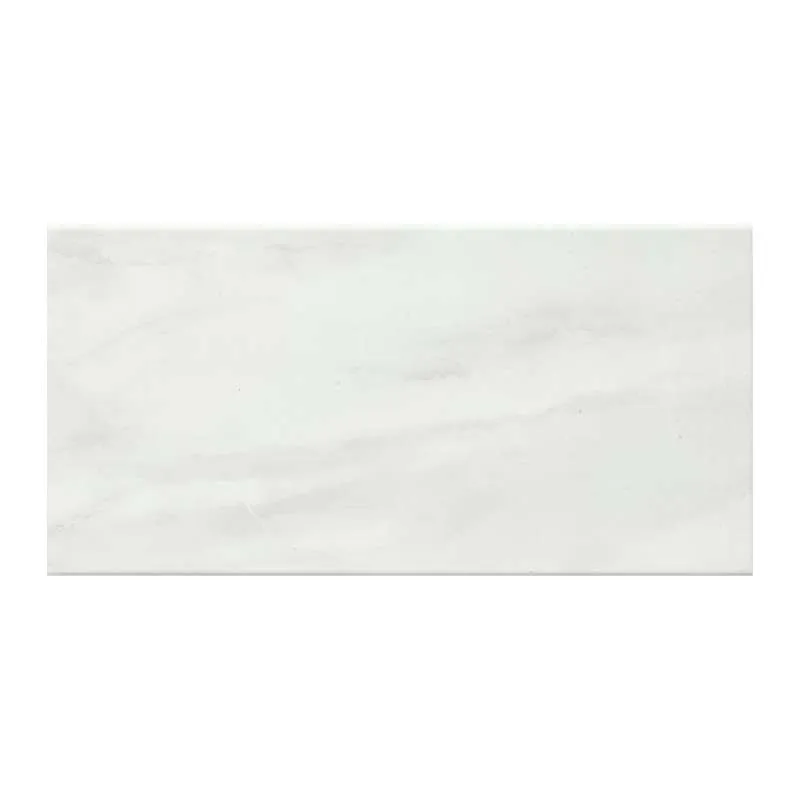 ALBABONE1(2-P66841)30X60