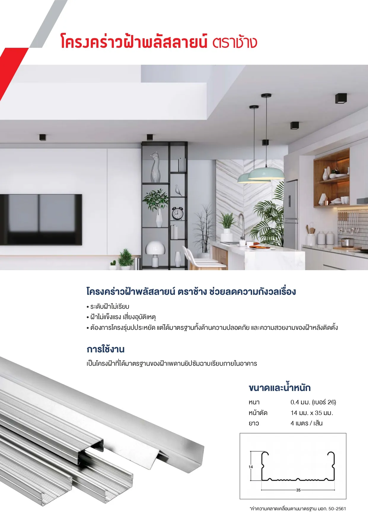 พลัสซีลายpage-0001