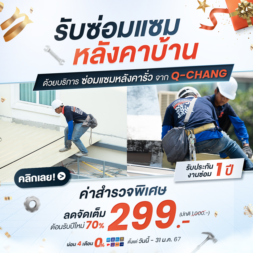 RoofRepairJan-V