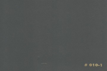010-1