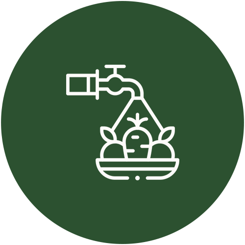 icon02
