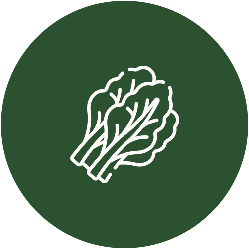 icon04