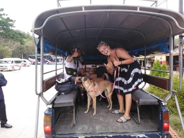 chumphon-kohtao(18)
