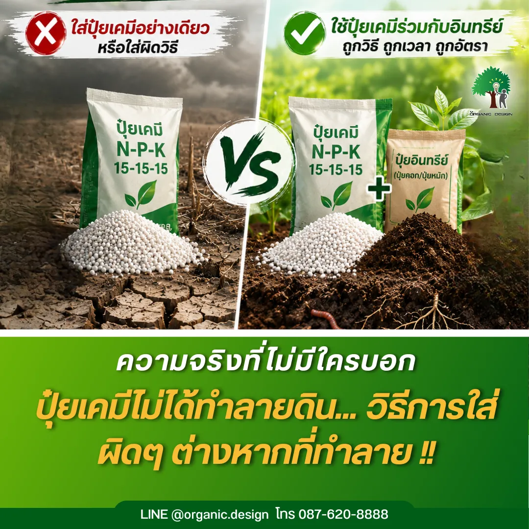OrganicDesignรับผลิตปุ๋ยปุ๋ยเคมีไม่ได้ทำลายดินวิธีการใส่ผิดๆต่างหากที่ทำลาย