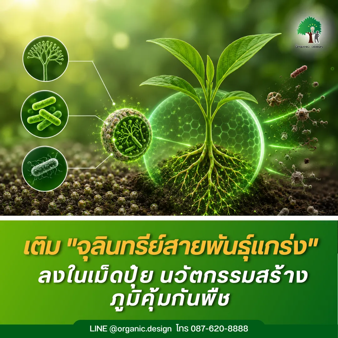 OrganicDesignเติมจุลินทรีย์สายพันธุ์แกร่งลงในเม็ดปุ๋ย