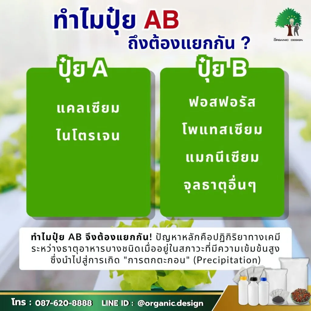 idesignorganic