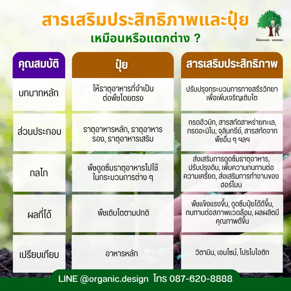 idesignorganic