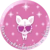 cawaiipethospital