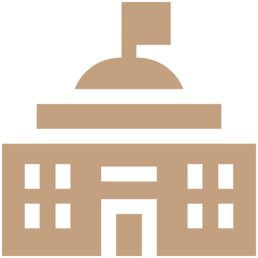 Government-