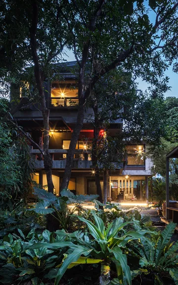 Mangotreehouse