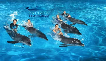Dolphina