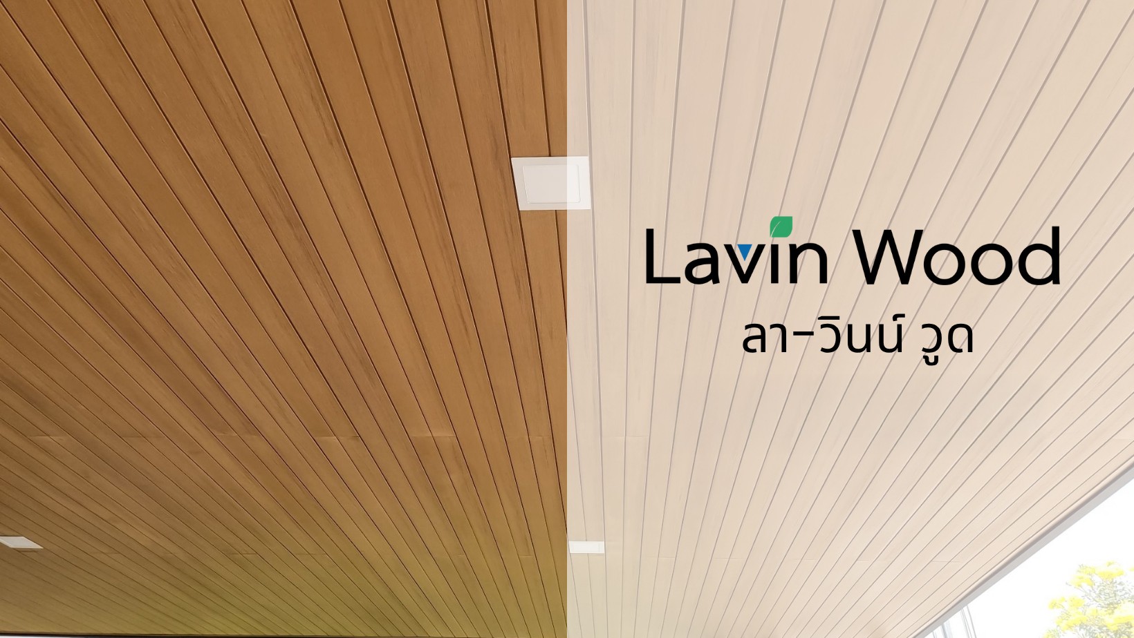 lavin-wood
