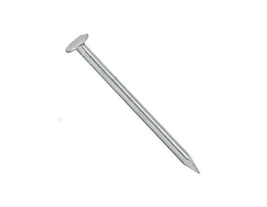Nail(เนล)