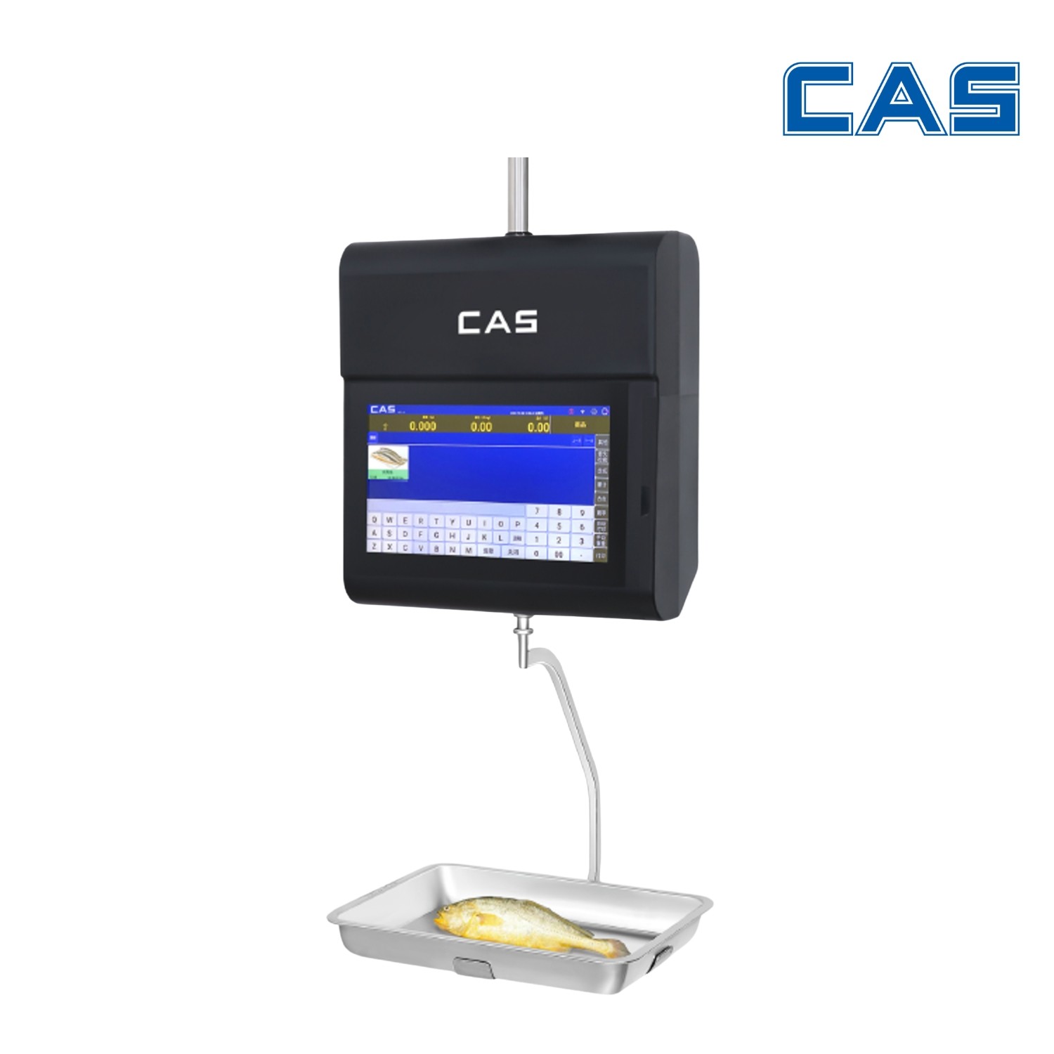 CAS CL-6500 HS AI