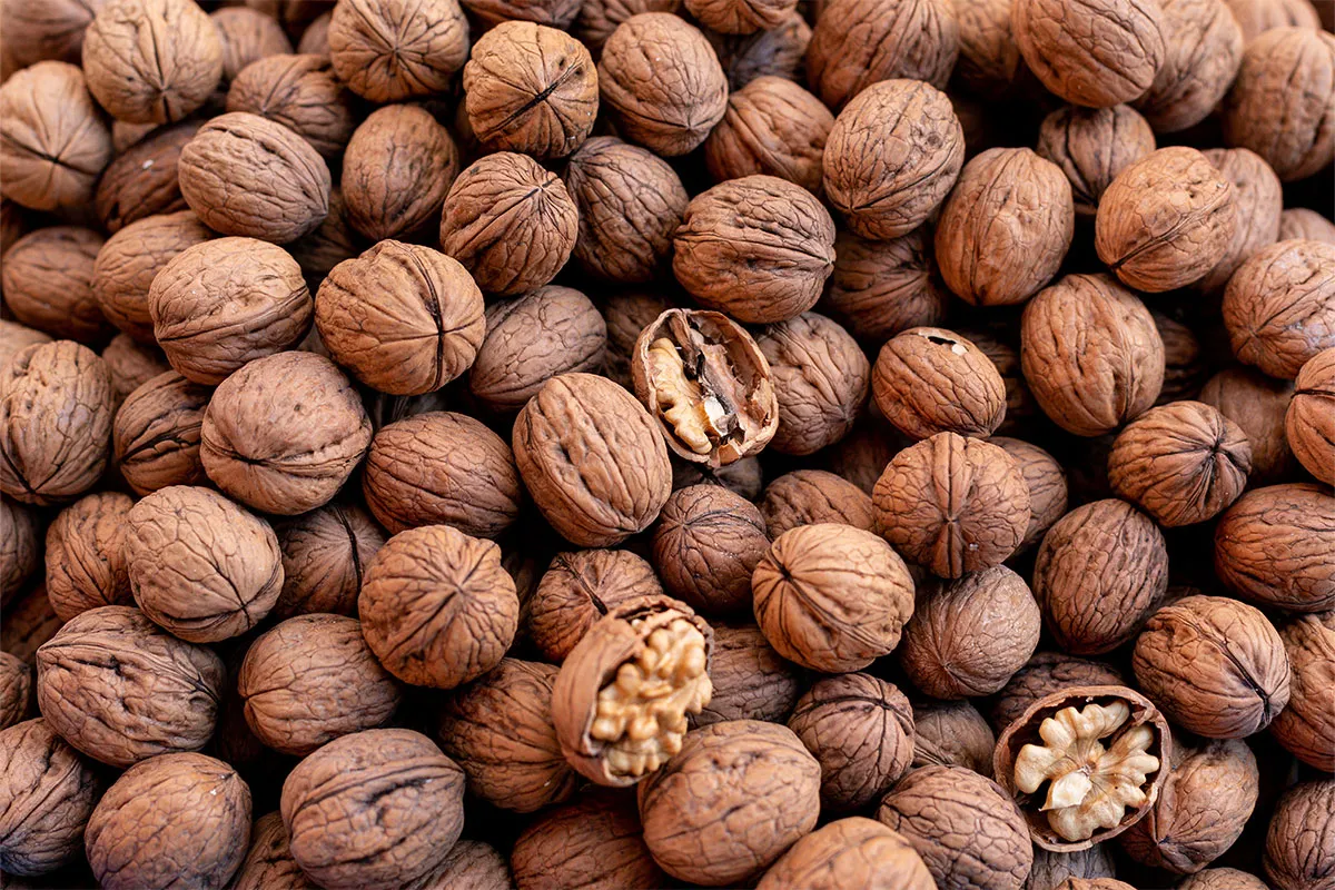 12-Walnut
