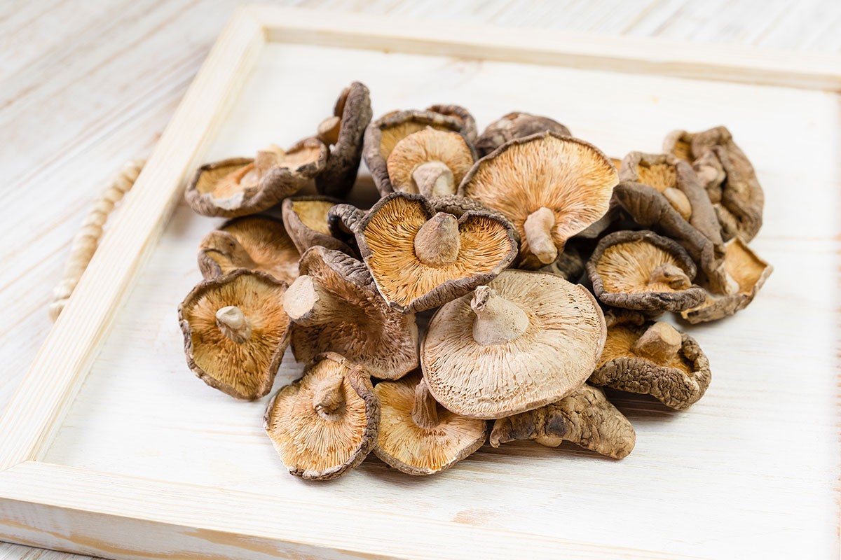 12-เห็ด-(Mushrooms)