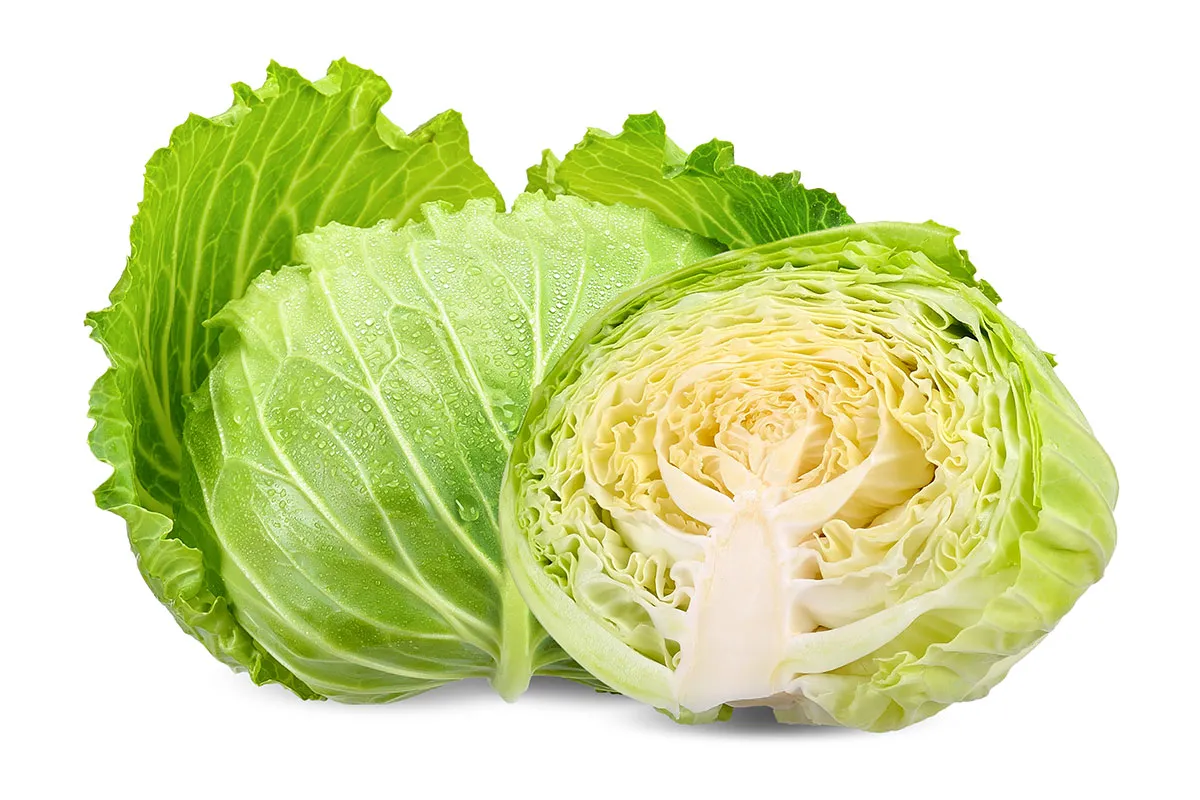 13-cabbage