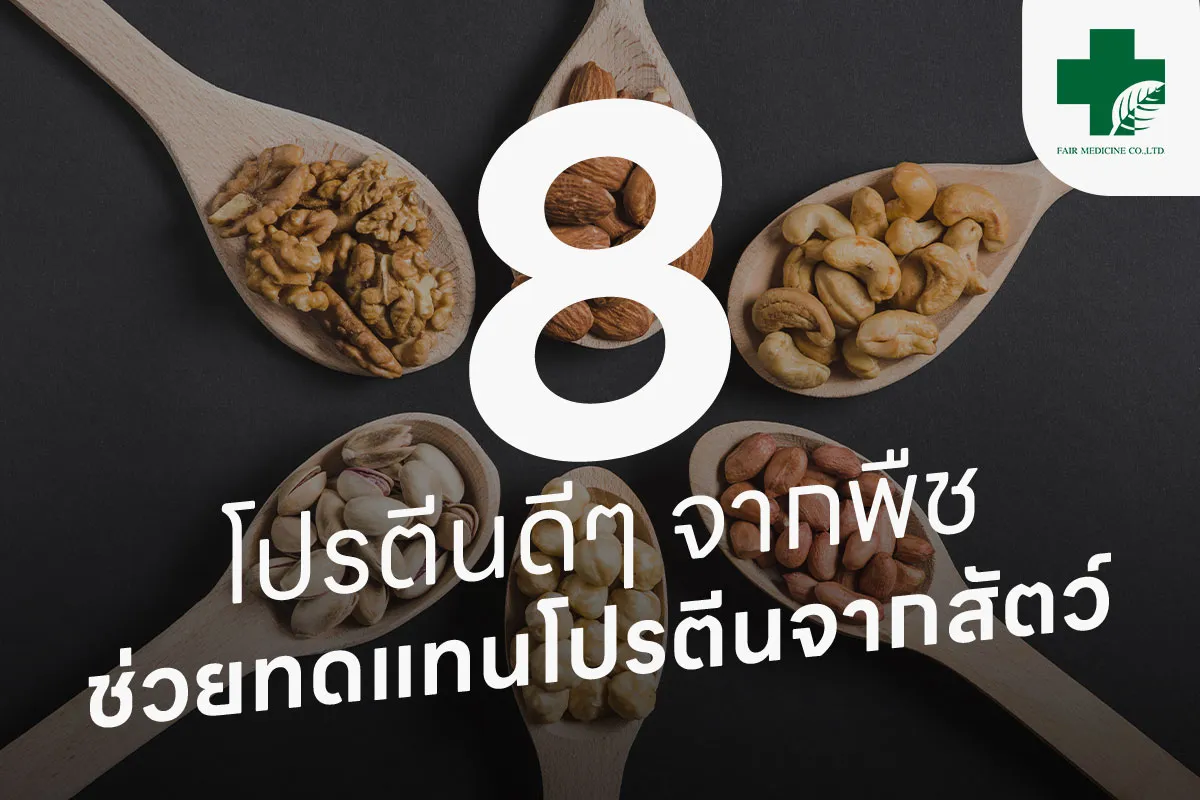 2-8-โปรตีนดีๆ-จากพืช-ช่วยทดแทนโปรตีนจากสัตว์