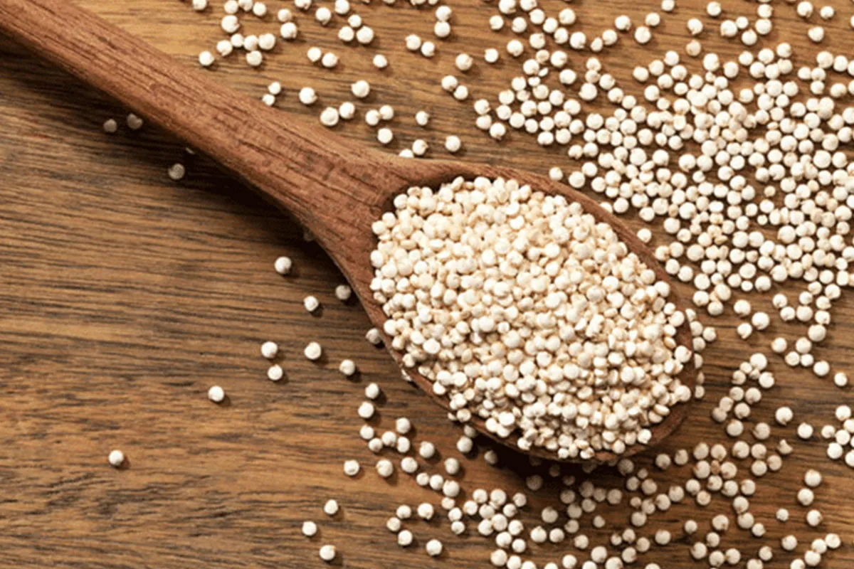 8-ควินัว-(Quinoa)