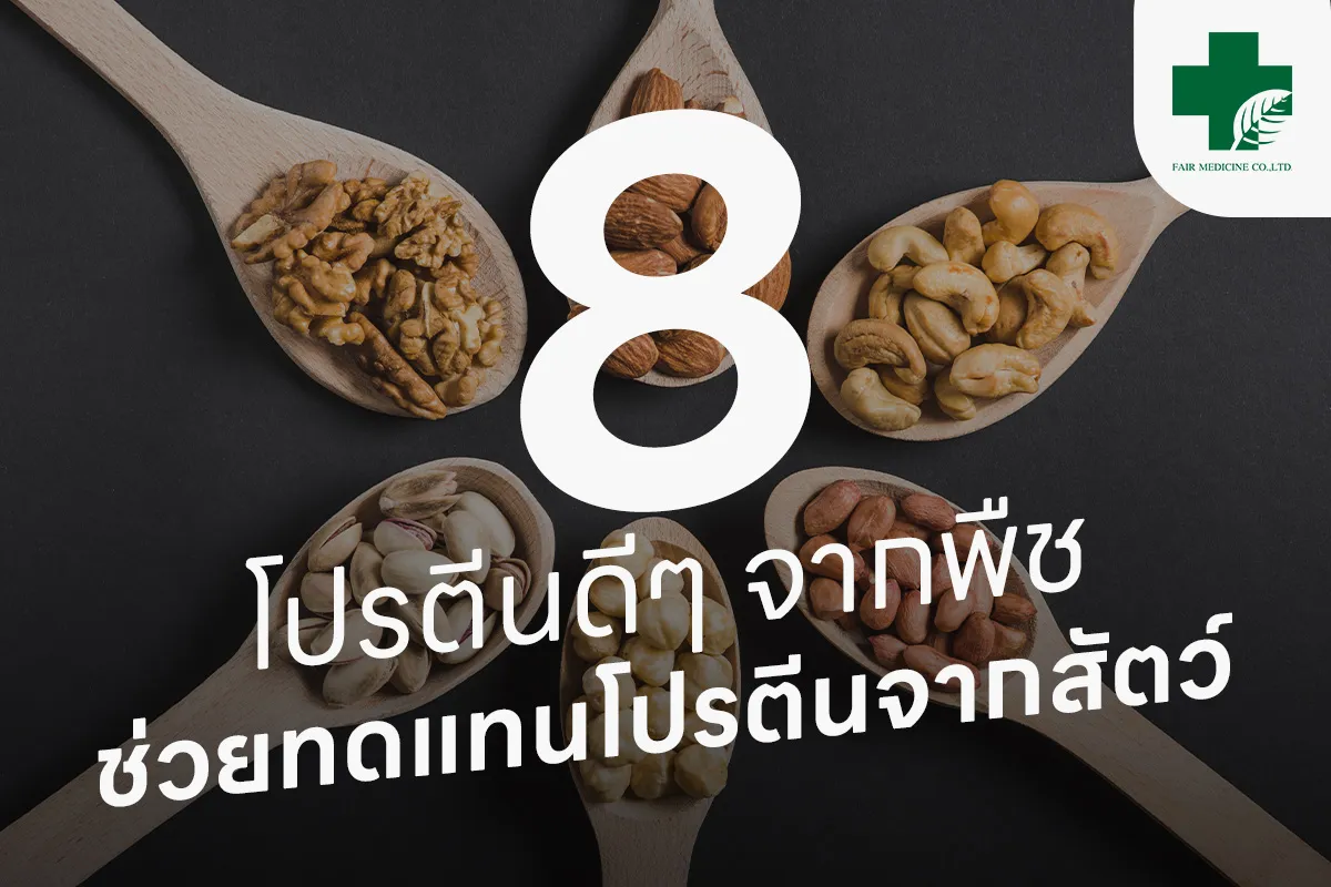fairmedicinearticle8-โปรตีนดีๆ-จากพืช