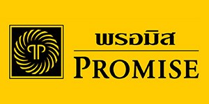 logo-promise