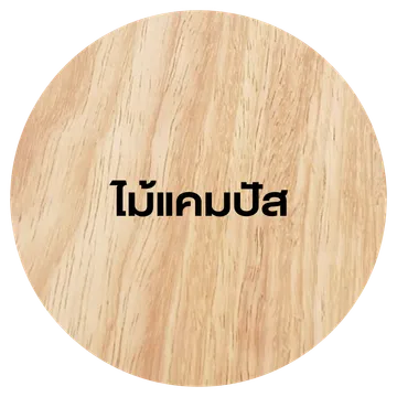 ภาพ3