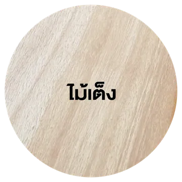 ภาพ4