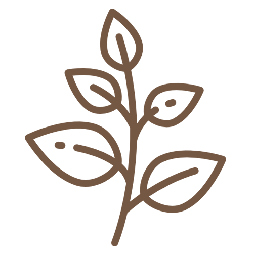 anonathailand-icon1