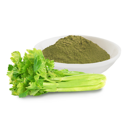 CeleryPowder