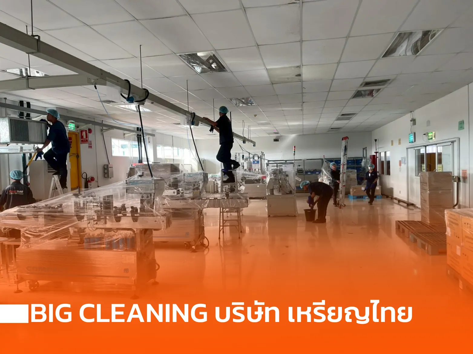 bigcleaningบริษัทเหรียญไทย