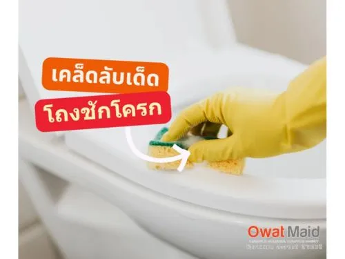 ข้อความในย่อหน้าของคุณ