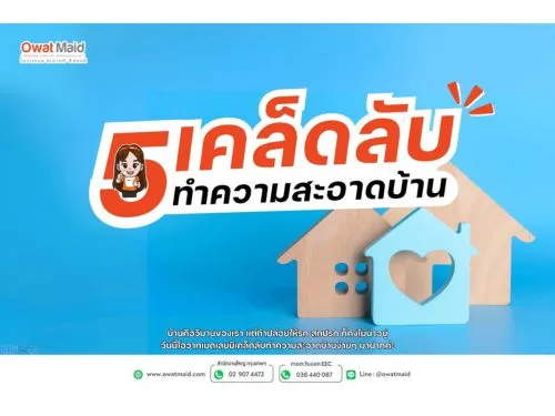 ข้อความในย่อหน้าของคุณ
