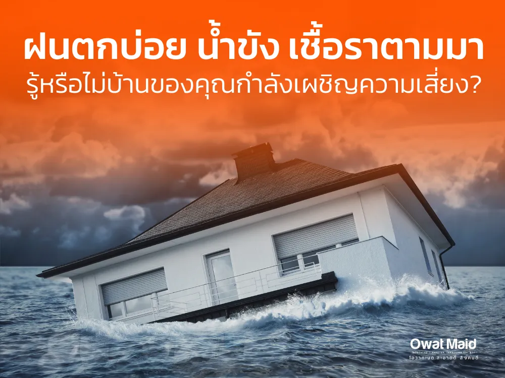 ดีไซน์ที่ยังไม่ได้ตั้งชื่อ(2)