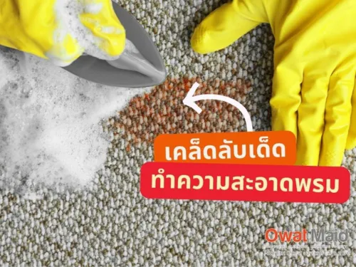 โอ้โห! พรมเช็ดเท้าบ้านฉันสะอาดเหมือนใหม่! ✨ แม่บ้านโอวาทเมดมาเอง แชร์ทริคซักพรมเช็ดเท้า ทำง่าย ไม่ง้อร้านซักรีด