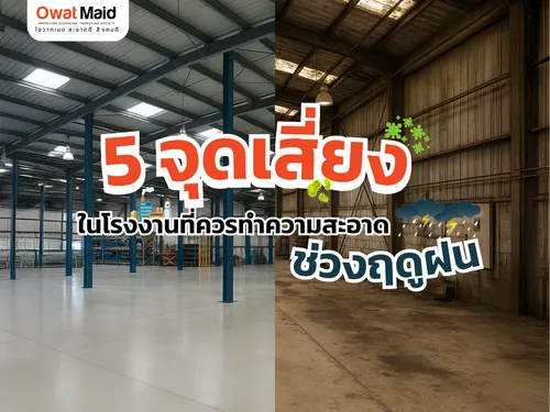 5 จุดเสี่ยงในโรงงานที่ควรทำความสะอาดบ่อยช่วงฤดูฝน