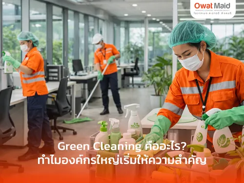 Green Cleaning คืออะไร? ทำไมองค์กรใหญ่เลือกใช้เพื่อตอบโจทย์ ESG | OwatMaid