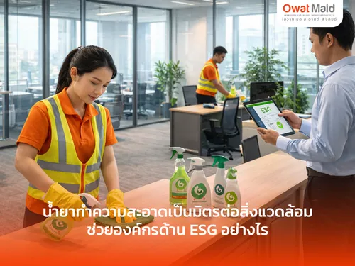 น้ำยาทำความสะอาดเป็นมิตรต่อสิ่งแวดล้อม ช่วยองค์กรด้าน ESG อย่างไร | OwatMaid