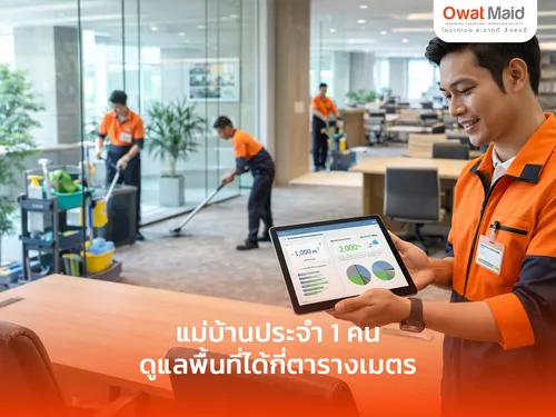 แม่บ้านประจำ 1 คน ดูแลพื้นที่ได้กี่ตารางเมตร? | OwatMaid