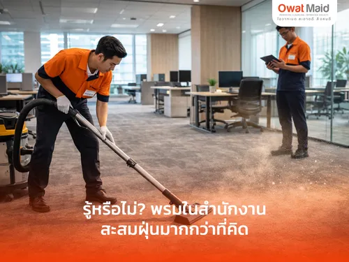 5 รู้หรือไม่? พรมในสำนักงานสะสมฝุ่นมากกว่าที่คิด | OwatMaid