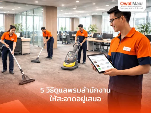 5 วิธีดูแลพรมสำนักงานให้สะอาดอยู่เสมอ | OwatMaid