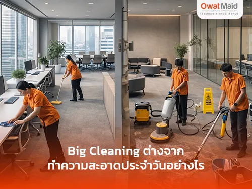 Big Cleaning ต่างจากทำความสะอาดประจำวันอย่างไร | OwatMaid