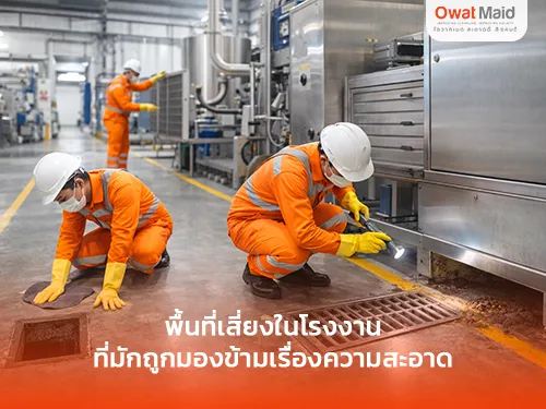 พื้นที่เสี่ยงในโรงงานที่มักถูกมองข้ามเรื่องความสะอาด | OwatMaid