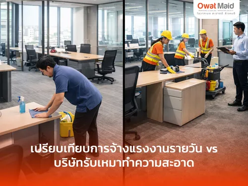 เปรียบเทียบแรงงานรายวัน vs บริษัทรับเหมาทำความสะอาด เลือกแบบไหนคุ้มค่า | OwatMaid